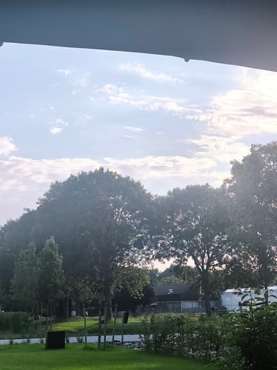 This media file captures a serene outdoor scene, likely in Almere, Netherlands, under a bright sky with scattered clouds. The time of day appears to be late afternoon or early evening, suggested by the soft, diffused sunlight and the angle of the light. The weather is clear and pleasant, with a gentle breeze implied by the subtle movement of the tree leaves.
The foreground is dominated by a well-maintained lawn, with a dark, rectangular waste bin situated on the left. Several young trees, supported by thin stakes, are sparsely planted across the lawn and a paved pathway. Beyond the lawn, a line of mature trees forms a dense green canopy, their leaves catching the light and creating a shimmering, slightly hazy effect.
In the middle ground, a long, dark-colored building with a sloped roof and several windows is visible, nestled amongst the trees. To the right of this building, a lighter, possibly greenhouse-like structure with translucent panels is partially obscured by foliage. A glimpse of a white vehicle can be seen in the distance, suggesting a road or pathway.
The overall impression is one of tranquility and natural beauty, with a touch of man-made structures integrated into the landscape. There are no visible people or overt activities taking place, contributing to the peaceful atmosphere. The location cues and the architectural style of the buildings suggest a semi-urban or suburban setting within the Netherlands. The natural elements, such as the abundant greenery and the expansive sky, evoke a sense of calm and openness.