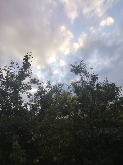 A low-angle shot captures the tops of dense, dark green trees against a cloudy sky. The sky is a mix of pale blues and grays, with patches of brighter light suggesting the sun is behind the clouds. The trees fill the lower two-thirds of the frame, with their branches and leaves obscuring much of the background. The image appears to be taken outdoors in a natural setting, possibly in the city of Степное, Russia.