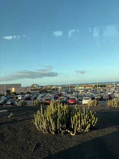 The image shows a parking lot adjacent to a road in Puerto del Rosario, Spain. The parking lot is densely packed with cars.  A row of succulent plants grows along the side of the road, bordering the parking lot. The sky is clear with some scattered clouds and reflections, suggesting the photo was taken through a window. The background includes buildings, streetlights, and a distant view of the ocean.