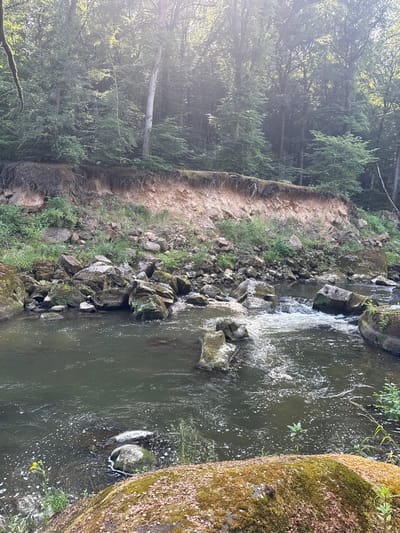 The image depicts a natural scene of a rocky stream flowing through a forest. The stream is the main subject, with water cascading over rocks and creating a dynamic flow. The banks of the stream are lined with a mix of large boulders, smaller stones, and lush green vegetation, including mosses and grasses. To the left of the stream, a steep, sandy embankment rises, also partially covered in greenery. Beyond this embankment, a dense forest with tall trees creates a backdrop. The sunlight filters through the trees, casting a soft glow and creating a dappled effect on the scene, suggesting it is daytime, likely morning or late afternoon given the angle of the light. The overall mood is serene and natural, conveying a sense of peaceful wilderness. There is no visible text in the image. The location is identified as Prümzurlay, Germany, which aligns with the depicted natural environment.