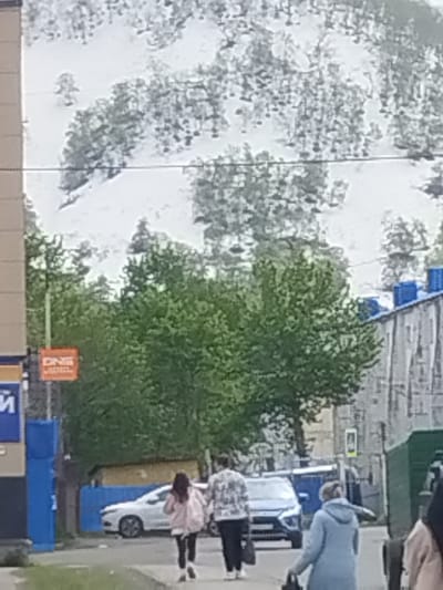 The image captures an outdoor scene in Vilyuchinsk, Russia, likely during the daytime. The foreground features a paved walkway and a street, with several people visible. On the left, a person in a light pink jacket and black pants walks away from the camera, carrying a bag. Next to them, another person in a patterned jacket and black pants also walks away. Further in the background, a person in a light blue coat walks with a bag.

Several objects are present, including a white car parked on the street and a dark blue car driving past. A green truck is parked on the right side of the image. On the left side of the image, there's a building with signs, one of which appears to be orange with white text that reads "DNS". Other structures include a light-colored building with blue elements on its roof and a fence.

The background is dominated by a large hill covered in snow and scattered trees, suggesting a cool climate or recent snowfall. Lush green trees are also prominent in the middle ground, contrasting with the snowy hill. The weather appears overcast. The overall impression is of a casual, everyday scene in a town that experiences cold weather, with people going about their day.