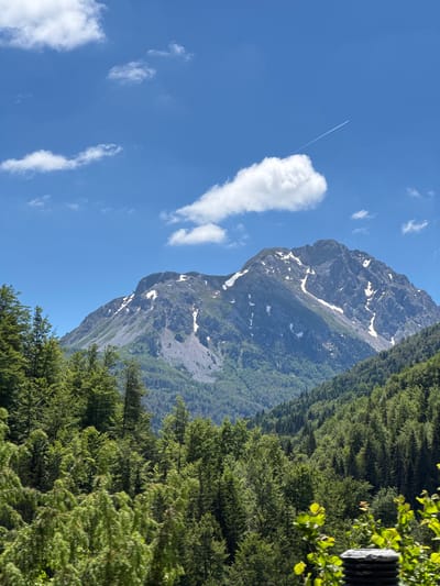 A majestic, rugged mountain peak dominates the background of this landscape photograph. The mountain's summit and upper slopes are dusted with patches of snow, contrasting with the grey rock and scree. The lower slopes are densely covered in lush green forest. In the foreground, a thick canopy of vibrant green trees fills the lower half of the frame, creating a natural frame for the mountainous scene. The sky above is a clear, bright blue, punctuated by a few fluffy white clouds. A thin, white contrail from an airplane streaks diagonally across the upper right portion of the sky. The scene depicts a beautiful, natural environment, likely in a mountainous region. The city of Bare Kraljske, Montenegro, is a village situated in a mountainous area, known for its natural beauty and hiking opportunities. Therefore, this image likely depicts the natural scenery in or around Bare Kraljske. There are no people or animals visible in the image. The lighting suggests it is daytime, with clear weather conditions.