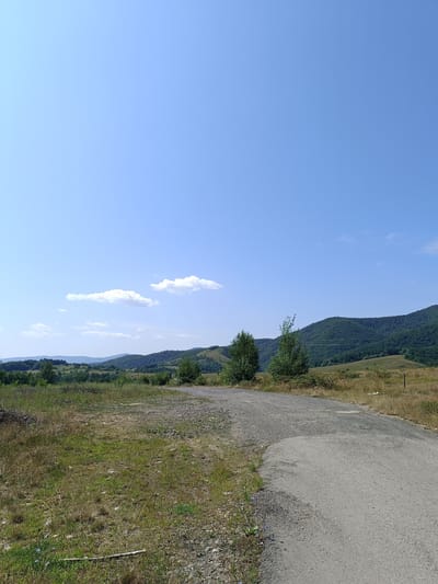 A wide, elevated shot captures a rural landscape under a clear, bright blue sky with a few scattered white clouds. In the foreground, a rough, gravelly dirt road curves from the right side of the frame into the distance. To the left of the road, a patch of dry, matted grass dotted with a few small wildflowers and some scattered branches.

The middle ground reveals rolling hills covered in lush green trees and patches of dry, golden grass. Two slender trees with full green foliage stand prominently on the right side of the road, their branches reaching towards the sky. Beyond them, the landscape transitions into a series of more distant, densely forested hills that fade into the hazy horizon.

The overall scene depicts a serene, natural environment, possibly in the vicinity of Mermești, Romania, characterized by its undulating terrain, verdant vegetation, and the open expanse of the sky. There are no people or animals visible in the image.