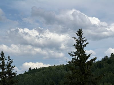 The image shows a landscape in Tashtagol, Russia, on a cloudy day. The scene is dominated by a lush, green forest covering rolling hills. In the foreground, a tall, dark green coniferous tree stands prominently on the right side of the frame, with its branches extending towards the sky. To the left, another, smaller coniferous tree is partially visible.

The background features a ridge of hills covered in dense forest, with some scattered trees and vegetation along the crest. A tall, slender radio tower is visible on the far right side of the ridge, indicating a populated or developed area. The sky above is filled with dramatic, white and gray cumulus clouds, suggesting dynamic weather conditions, possibly a partly cloudy or overcast day with intermittent sunshine. The overall impression is one of a natural, somewhat wild landscape with a hint of human presence due to the radio tower. The time of day appears to be daytime, given the brightness of the clouds and the illuminated landscape. There is no visible text in the image.