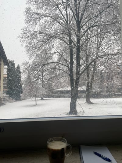 The scene depicts an outdoor winter landscape in Auer - Ora, Italy, viewed from inside through a window. Active snowfall is visible, with numerous flakes suspended in the air. The ground is uniformly covered with a fresh layer of white snow. Bare deciduous trees, their branches dusted with snow or ice, dominate the midground, with a large specimen centrally positioned. Several coniferous trees stand to the left, adjacent to a building. This building, partially visible on the far left, features a light-colored facade and a dark roofline. A low, snow-covered hedge or wall runs horizontally in the background, separating the immediate outdoor area from more distant, indistinct structures. The sky appears overcast and bright white. In the immediate foreground, on the interior windowsill, a clear glass mug containing a dark beverage with a white foam head rests on the left. To its right, a white, spiral-bound notebook lies open, topped with a blue ballpoint pen. There are no individuals, overt actions, or interactions present in the image.