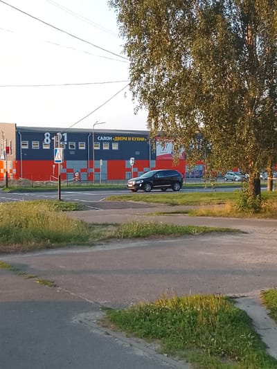 In the city of Zhlobin, Belarus, a black Volvo XC60 is seen driving on a paved road in front of a large building. The building has a dark blue and red facade with large white numbers "8 101" prominently displayed. To the right of the numbers, the text "САЛОН «ДВЕРИ И КУХНИ»" (Salon "Doors and Kitchens") is visible. A pedestrian crossing sign is present on a pole to the left of the road. A traffic light is also visible on the left side of the image. Trees with green foliage are in the foreground and to the right. The sky is clear and bright, suggesting it is daytime. Other cars are visible in the background, parked or driving. The road appears to be a multi-lane road with grassy verges and some construction fencing visible near the building.