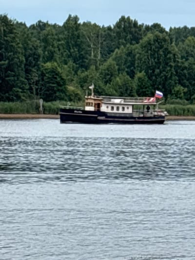 A boat with the name "Marilyn" visible on its side is sailing on a body of water. The boat has a white upper deck with windows and a Russian flag flying at the stern. In the background, a dense forest of green trees lines the shore. The water in the foreground is rippled. The sky above is overcast. The location is Nevskaya Dubrovka, Russia.