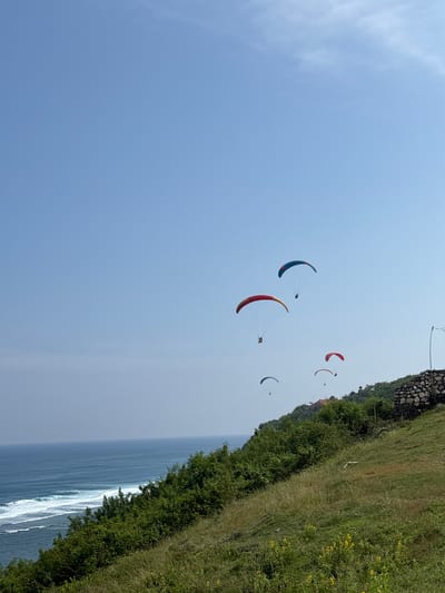 The scene displays a daytime view of a coastal area in Benoa, Indonesia. The upper two-thirds of the image consists of a clear, light blue sky. Six paragliders are in flight; the two most prominent feature teal/dark blue and red/yellow canopies, each suspending a single individual. Below these, three smaller paragliders, with red, blue/white, and indistinctly colored canopies, are also airborne, each with an occupant. The ocean, characterized by deep blue water and white breaking waves, is visible in the lower-left quadrant. A steep, green hillside dominates the right side of the frame, sloping towards the sea. The hillside is covered with diverse vegetation, including dense green bushes near the coast and dry grasses with yellow wildflowers in the foreground. On the upper right hillside, a section of a stone wall and a utility pole are present. A building with a reddish-brown roof is partially visible further down the hillside amidst the trees.