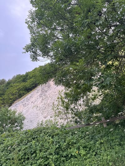 The image shows a gravel path bordered by green vegetation, including shrubs and a fence post. A tree canopy covers the upper portion, creating shade. The sky is visible in the lower-left corner. The viewpoint is looking up towards the gravel path and greenery from below.