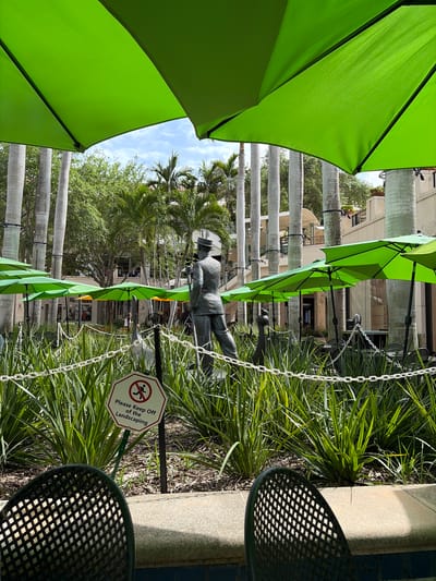 The image is taken at street level and shows an outdoor scene in Coral Gables, United States of America. The focus is on a landscaped area featuring green foliage with a sign that reads "Please Keep off of the Landscaping" in a red border with a symbol of a person running with a red line through it. The landscape area is bound by a white chain fence. Behind the landscaped area, there's a bronze statue of a man, possibly a historical figure, positioned in the middle of the scene.
Overhead, there are bright green umbrellas lining the area, suggesting it is an outdoor seating or pedestrian zone. Rows of palm trees are visible behind the umbrellas and statue, with buildings in the background suggesting a commercial or residential area. Two black metal chairs are partly visible on the right side of the image, suggesting a public area.