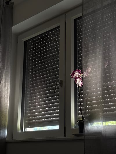 The image shows a close-up view of a skylight window with blinds and a sheer curtain. In the foreground, a branch with two purple and white orchid blossoms is visible, positioned in front of the blinds. The blinds are made of a material with a pattern of vertical dashes. A sheer curtain with a similar dotted pattern hangs above the window, creating a layered effect. The top portion of the image is darker, with light filtering through the sheer curtain, casting a dappled pattern on the blinds. The window frame is white. In the background, through the blinds, a glimpse of greenery and bright light suggests an outdoor environment, possibly indicating daytime. The overall scene has a tranquil and slightly ethereal quality due to the lighting and the delicate orchid flowers. The location context provided is Hausach, Germany, but there are no explicit visual cues within the image to confirm this specific location. No text is visible in the image.