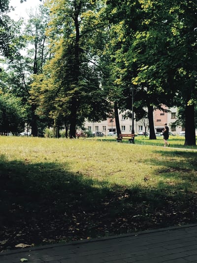 The image depicts a park scene in Sosnowiec, Poland. A woman is walking on a paved path through a grassy area with mature trees lining the background. In the background, there are apartment buildings with windows and balconies, and parked cars. A wooden bench is visible on the left side of the path. The sun casts shadows across the grass. The overall impression is that of a public park on a sunny day.