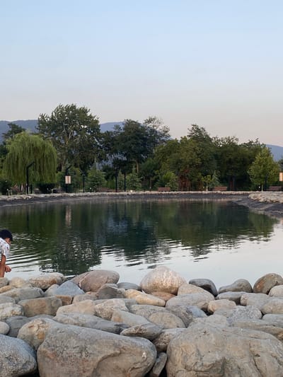 The image depicts a tranquil scene at the Lagodekhi National Park in Lagodekhi, Georgia. In the foreground, a collection of large, gray rocks lines the edge of a calm body of water. A young person, seen from behind and wearing a patterned white shirt, is leaning over the rocks, seemingly interacting with the water. The water itself is dark and reflects the surrounding environment, with ripples disturbing its surface.
Beyond the water, a paved walkway is visible, bordered by a low wall constructed of smaller stones and dark material. Several park benches and lampposts are strategically placed along this walkway, suggesting a well-maintained recreational area. The background is dominated by lush green trees of various sizes and species, creating a dense natural barrier. Among the trees, a tall willow tree with drooping branches stands out on the left side of the image. In the far distance, hazy blue mountains form a picturesque backdrop under a pale, clear sky. The overall atmosphere is one of peaceful natural beauty and serenity.
