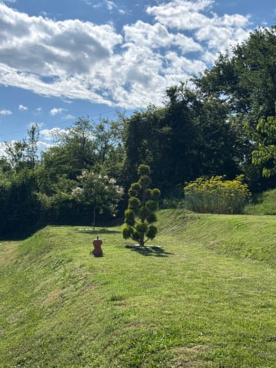 The image depicts a green, grassy slope with several trees and shrubs. In the foreground, a small, sculpted evergreen tree stands on the right side of the frame. To the left of the evergreen, a small, brown, decorative object resembling stacked pumpkins with a blue topper is positioned on the grass. A slightly larger tree with white blossoms is visible further back and to the left. The background is filled with lush, dense green trees. Above, a bright blue sky is dotted with white, fluffy clouds. The scene appears to be an outdoor park or garden area. There is no indication of the city of Chavei, Bulgaria in the image.