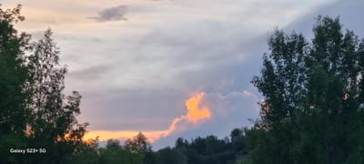 The image depicts a sky scene with clouds illuminated by sunset. The sky is predominantly a pale gray and lilac hue, with a distinct patch of bright orange and yellow clouds centrally located in the upper half of the frame. The lower portion of the image is filled with the dark green foliage of trees. On the far left, a tall tree with dark green leaves is prominently featured. On the right side, a denser group of trees with similar foliage is visible. The horizon line, marked by the tops of trees and a subtle incline, is low in the frame. A small, almost imperceptible detail in the lower left corner reads "Galaxy S23+ 5G." This image does not contain any people or specific recognizable landmarks of Novhorod-Siverskyi, Ukraine. The setting appears to be a natural landscape on the outskirts of a populated area, likely captured during twilight.