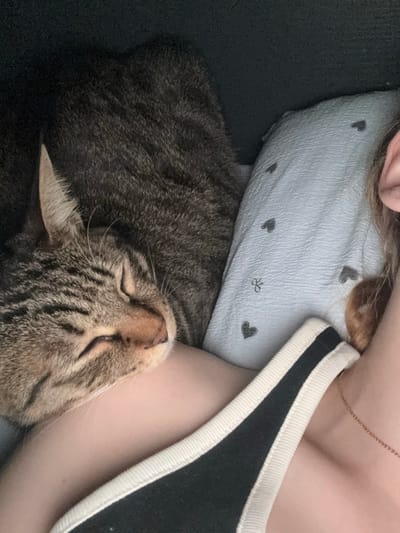 A tabby cat is sleeping on a person's shoulder. The cat's eyes are closed, and its head is resting on the person's arm. The person is wearing a black tank top with white trim. A light blue pillow with small black hearts and bows is visible behind the cat. The background is dark and out of focus. The image appears to be taken indoors.