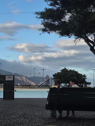 The image depicts a scene in Santa Cruz de Tenerife, Spain, with people sitting on a bench in the foreground, looking towards a body of water. A tree with dark green leaves is visible on the left side of the frame, partially obscuring the sky. The sky is a mix of blue and white clouds, suggesting it might be daytime. In the background, mountains are visible beyond the water. The overall atmosphere seems calm and relaxed.