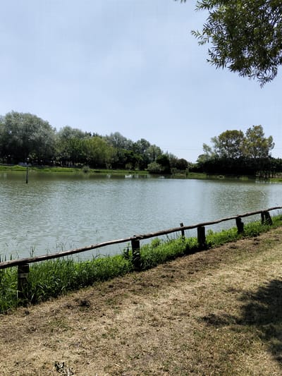 The image shows a tranquil lake scene in Sant'Andrea del Pizzone, Italy. The lake is the prominent feature, its water surface reflecting the clear, light blue sky. The perimeter of the lake is lined with various trees and green vegetation. A rustic wooden fence runs along the grassy foreground, separating the viewer from the lake. The grass is partly green, partly dry and brown. The shadow of a tree branch falls across the grass in the lower right corner.