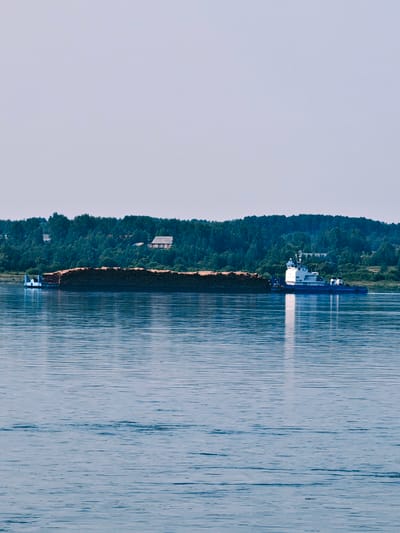 A barge laden with logs is being pushed by a tugboat on the water. The barge is a long, flat-bottomed vessel, and it is filled with a large quantity of cut timber. The tugboat is a smaller, more powerful vessel designed for towing and pushing. It is positioned at the rear of the barge, and its propeller is visible, churning the water as it propels the barge forward. The scene is set against a backdrop of lush green trees on the far bank of the river, with a few buildings nestled among the foliage, suggesting a rural or semi-rural setting. The water is calm with gentle ripples, and the sky is a pale, clear blue, indicating fair weather. The image appears to capture a moment of industrial activity taking place on a tranquil waterway, likely in the region of Novonazimovo, Russia, given the context.