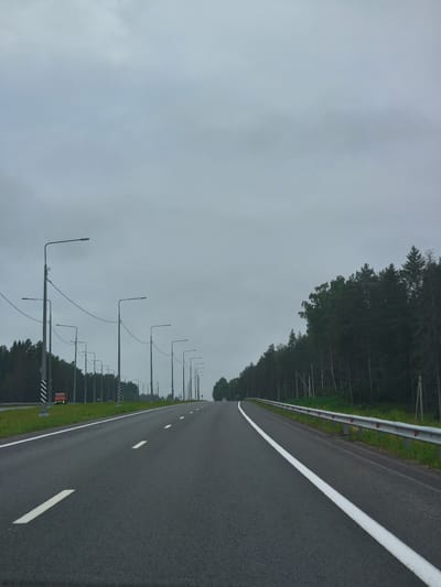 This is a ground-level, eye-level, medium shot of a highway with a cloudy, overcast sky. The highway is asphalt with white lane markings. On the left side of the highway, there is a grassy shoulder with a row of tall streetlights and trees beyond. A red truck is visible on the left side of the road in the distance. On the right side of the highway, there is a metal guardrail and a dense line of evergreen trees. The road curves slightly to the right. The scene is devoid of people and any interactions are not discernible. The location is identified as a highway in Sosnovka, Russia.