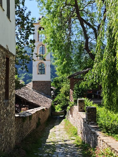 The image displays a narrow, downhill-sloping cobbled pathway in the village of Kovachevitsa, Bulgaria, leading towards the Saints Peter and Paul Church. The pathway is constructed from irregular stone pavers, with sporadic growth of grass and small weeds between the stones. Sunlight illuminates portions of the path, creating distinct shadow patterns.
To the left, a robust dry-stone wall, composed of varied grey and brown stones, extends along the path. Behind this wall, the lower section of a traditional building with a stone base and a partially visible whitewashed upper facade is present. A wooden window frame is discernible in this building. Further back and slightly lower, a roof made of flat, overlapping stone tiles is visible.
In the mid-ground, the prominent white clock tower of the Saints Peter and Paul Church rises centrally. Its base is constructed from rough-hewn stone. Above this, three visible stories are whitewashed, each featuring an arched window framed by ochre-colored trim. Dark, possibly metal, railings or grates are installed in these windows. The topmost section of the tower, a dark, possibly domed, cupola, is partially obscured by green foliage.
To the right of the pathway, a lower dry-stone wall with several vertical stone posts defines a raised area. Beyond this wall, dense green foliage, primarily from bushes and trees, lines the route. A large tree with long, slender, drooping green leaves, possibly a weeping willow, occupies the right foreground and mid-ground, partially framing the scene.
Further right and elevated, a wooden structure resembling a gazebo or a covered balcony is nestled among the trees. It has a sloped wooden roof and wooden railings. Inside this structure, a wooden bench is visible, along with an orange swing or seat. Indistinct human figures are subtly present on the bench, partially obscured by shadows and foliage.
In the background, lush green, forested mountains rise under a clear, bright blue sky, indicating the natural setting of the village. The overall lighting suggests a sunny day.