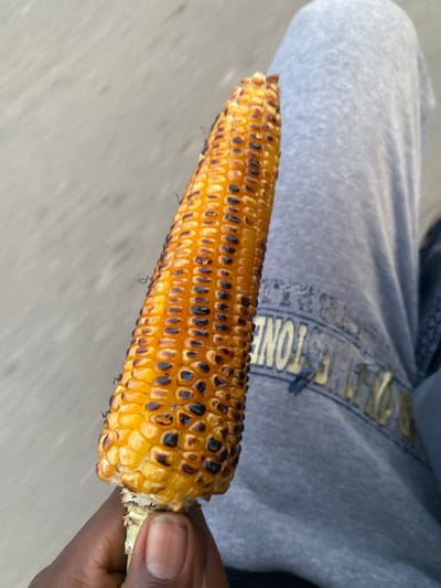 A dark-skinned hand is prominently featured in the foreground, holding a single grilled corn on the cob against a blurred background. The corn is golden yellow, displaying numerous dark brown to black char marks across its kernels, consistent with open-flame cooking. Several thin, dark, hair-like strands are visible on the corn's surface, possibly remnants of corn silk. The hand grips the base of the corn cob, with clean, unpolished fingernails visible. In the soft-focus background, the upper portion of a person's leg or lap is seen, covered by light grey fabric, likely sweatpants or joggers. A yellow or gold inscription is partially visible on the fabric, clearly showing the letters "TONE" and other indistinct characters. A small, dark blue design or object is also present on the grey fabric near the text. The outermost background is a uniformly blurred, light grey surface, indicative of pavement or concrete. The scene is located in the city of Igarra, Nigeria.