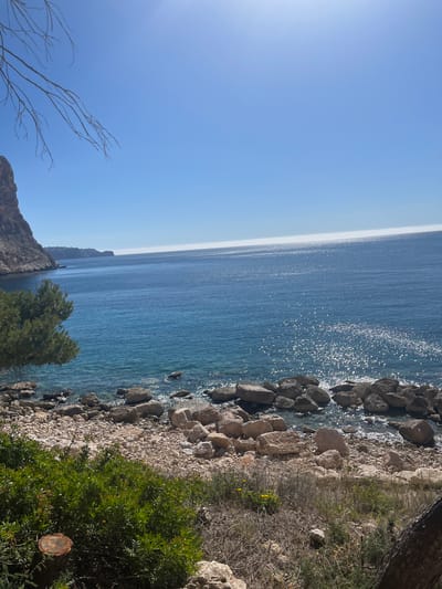 This photograph captures a coastal scene at el Poble Nou de Benitatxell / Benitachell, Spain. The landscape consists of a rocky shoreline meeting the turquoise sea under a clear, pale blue sky. Sunlight reflects off the water, creating sparkling highlights. Vegetation, including green bushes and dry plants, covers the ground alongside the rocks. In the distance, a rocky cliff extends into the sea. Bare branches of a tree are visible in the lower left corner. A fresh cut on a tree stump is visible in the lower right corner.