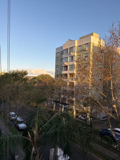 The image depicts an elevated view of a residential street in Porto Alegre, Brazil, during what appears to be late afternoon or early morning, characterized by warm, low-angle sunlight.

In the upper right, a multi-story apartment building, approximately seven to eight floors tall, dominates the right half of the frame. Its facade is a light greenish-grey, with an off-white or light-colored top section and trim. Numerous external air conditioning units are visible on balconies and attached to the building's exterior walls. The right side of the building is brightly illuminated by the sun, casting parts of its left side into shadow.

The foreground and midground are densely populated with trees. Several deciduous trees with bare or sparsely leafed branches, particularly on the right, partially obscure the building. On the left and in the immediate foreground, trees with denser green foliage, including discernible palm trees, are present.

Below the treeline, a paved street runs horizontally through the lower portion of the image. Multiple vehicles are parked along both sides of the street. On the left, at least three cars are parked in a row, including a silver pickup truck. On the right, a white sedan is visible, and further down, a blue car is also parked. Utility poles and a network of overhead power lines are visible, with prominent vertical lines in the upper left quadrant.

The sky is a clear, light blue with a single elongated white cloud visible on the distant horizon to the left. No individuals or active movements are discernible in the scene. The overall environment suggests a quiet urban residential area.
