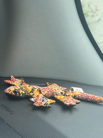 A close-up, eye-level shot shows a colorful, stuffed toy gecko draped over a black dashboard. The gecko's body is adorned with a vibrant pattern of yellow, red, purple, and black spots and splotches, with small black eyes. It appears to be clinging to the dashboard, with its limbs splayed out. A white tag, partially visible on the gecko's body, bears a CE mark and some unreadable text.
The dashboard itself is textured and appears to be made of synthetic material. The word "AIRBAG" is embossed in capital letters on the lower right portion of the dashboard. To the left of the gecko, a section of the car's interior features a grey, ribbed fabric surface.
Beyond the dashboard, through the car's windshield, a blurred background reveals a grey, overcast sky with streaks of light. Droplets of water are visible on the windshield, suggesting it is raining. The overall lighting is soft and diffused, consistent with a cloudy or rainy day. The scene appears to be captured inside a vehicle parked in an outdoor setting, likely Kilpedder, Ireland, given the overcast weather. No people are visible in the frame. The image conveys a sense of casual decoration within a vehicle.