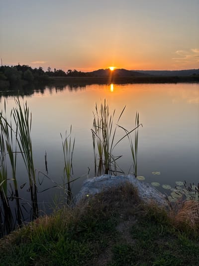 This is a vertical, eye-level, full shot of a tranquil lake at sunset in Skalsko, Bulgaria. The sun, a bright orange orb, is setting behind a distant hill, casting a warm glow across the sky and reflecting on the still water. Tall reeds grow in clusters in the foreground, their green stalks contrasting with the muted colors of the landscape. A large, grey rock sits on the edge of the water, surrounded by dry grass and green foliage. The water is calm, with a few lily pads floating near the reeds. The reflection of the sunset and the reeds on the water adds depth and serenity to the scene.