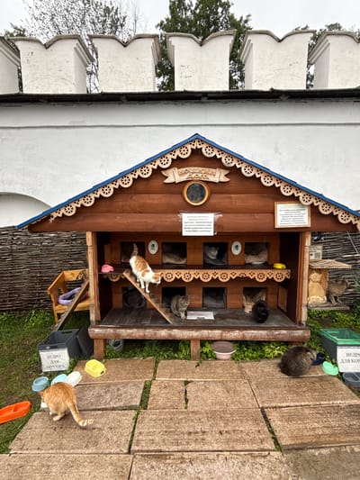 The image shows an outdoor cat shelter located in the vicinity of the Raifa Monastery in Russia. The shelter is a multi-tiered wooden structure with individual cubbies for cats. Several cats are visible: an orange and white cat is on a ramp inside the shelter, a gray tabby cat is near the bottom left of the shelter, a black cat is in a lower cubby, and a fluffy gray cat is sitting in front of a green bin on the right. Another cat is seen walking on the stone pathway in the foreground. Various cat bowls and two grey plastic bins, one labeled "BEDRO DLIA MUCCOPA" (Trash Bin) and another labeled "BEDRO DLIA KOPMA" (Food Bin), are present on the ground. A wooden bench with a purple toy is situated to the left of the shelter, and a woven wooden fence forms the background. Above the shelter, the white wall of the Raifa Monastery with distinctive crenellations is visible. The sky is overcast.