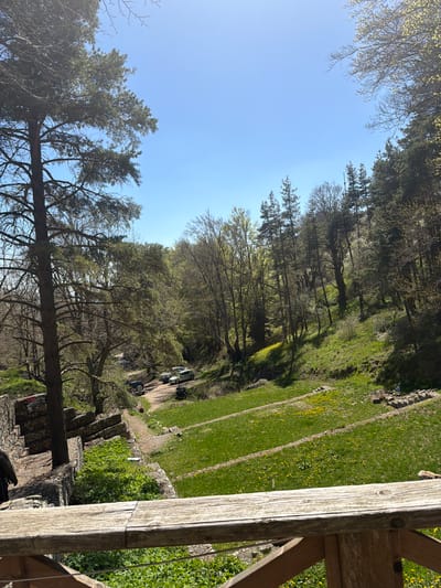 The image shows an outdoor scene in Ichera, Bulgaria. In the foreground, a wooden railing partially obscures the view. A stone wall with vegetation is present beneath the railing. Beyond this wall, a dirt path runs alongside a grassy area dotted with yellow flowers. Trees line the path, and several vehicles are parked along it. The sky is clear and blue.