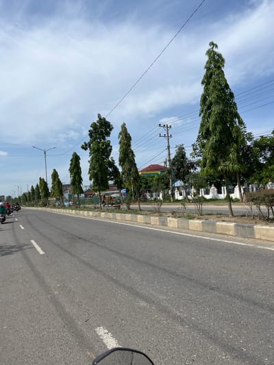 The image depicts a street scene in Tanjungkarang, Indonesia. A paved road with white lane markings dominates the foreground, with a slight upward incline. On the right side of the road, a row of tall, slender trees with dense green foliage is planted along a curb made of concrete blocks. Beyond the trees, there are buildings with colorful roofs, white fences, and power lines overhead. A few motorcycles, some with riders, are visible on the road. The sky is partly cloudy with a light blue hue. The overall impression is of a sunny day in an urban or suburban environment with tree-lined streets.