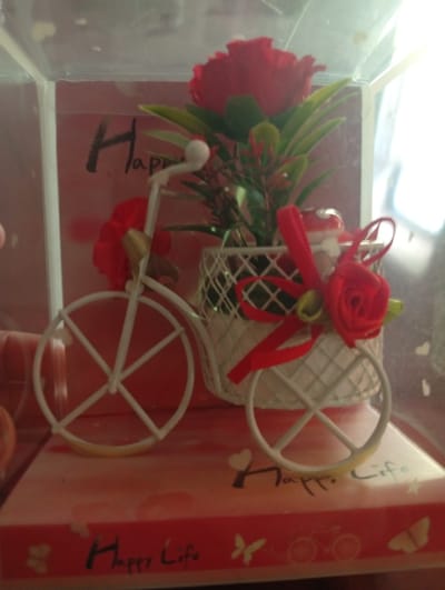 The media file features a close-up, eye-level view of a decorative item on a red surface, likely a shelf or box. The main subject is a miniature white wire bicycle adorned with artificial red flowers and red ribbon. The bicycle has two wheels, a handlebar, and a basket on the back, which holds a pot with a red rose and green foliage. The entire arrangement is enclosed in a clear plastic casing, suggesting it's a gift or display piece.
The red surface beneath the bicycle has decorative elements, including what appears to be handwritten text in black and white. The text on the lower part of the surface reads "Happy Life" in a stylized font, and also includes small drawings of butterflies and bicycles. There is also text visible on a pink background behind the bicycle, which appears to say "Happy" in large, dark script.
The lighting suggests it is daytime, with bright light coming from the right, creating some glare and reflections on the plastic casing. The overall mood is cheerful and celebratory, consistent with the "Happy Life" text. There are no people visible in the frame. The background is somewhat blurry but appears to be an indoor setting. The location context of Akaltyn, Uzbekistan, does not provide specific visual cues within the image itself.