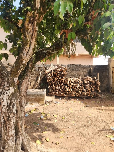 The image displays an outdoor scene, likely a yard or an undeveloped area adjacent to a building. The overall impression is one of a functional, sunlit space in a rural or semi-urban environment.
A large, mature tree, likely a mango or similar species common in tropical climates, dominates the left side of the frame. Its thick, gnarled trunk and branches are covered in textured, mottled bark with patches of lighter and darker tones, possibly indicating moss or lichen growth. The tree bears dense foliage of broad, green leaves, with some brown or reddish-brown leaves visible deeper within the canopy.
To the right of the tree, the ground consists of reddish-brown, sandy soil, indicating dry conditions. Numerous fallen leaves, a mix of green and yellowed, are scattered across the ground, along with small pieces of blue and white debris. Shadows, likely cast by the tree and other unseen objects, stretch across the ground, suggesting bright daylight.
In the middle-right section, against a low brick wall or foundation, a large stack of cut firewood logs is neatly piled. The logs are of varying diameters but appear uniformly cut, indicating they are prepared for fuel. A smaller, more loosely piled stack of logs sits in front of the main pile. Adjacent to the woodpile, a concrete block or low structure is visible.
In the background, partially obscured by the tree and the woodpile, a light-colored building with a smooth wall is visible. A thin wire or string extends from the building towards the tree.
The scene is illuminated by bright, clear daylight, casting distinct shadows and suggesting either morning or afternoon. No people are present in the image, and no visible text can be identified. The presence of the woodpile, the sandy ground, and the type of tree are consistent with the provided location context of Umuoye, Nigeria.