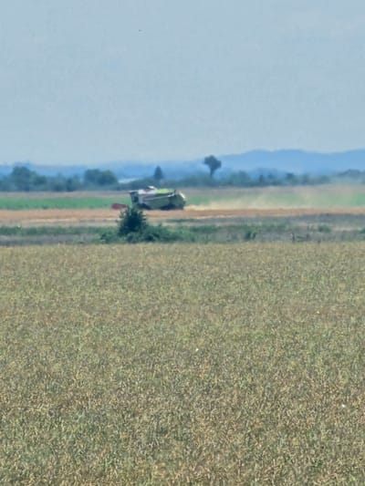 In Загорци, Bulgaria, a combine harvester is operating in a field, harvesting crops. The machine, predominantly green and white, is visible in the middle ground, kicking up dust as it moves across the field. In the foreground, another field of crops, appearing dry and autumnal, stretches towards the viewer. In the background, rolling hills and trees create a hazy, distant landscape under a bright sky.