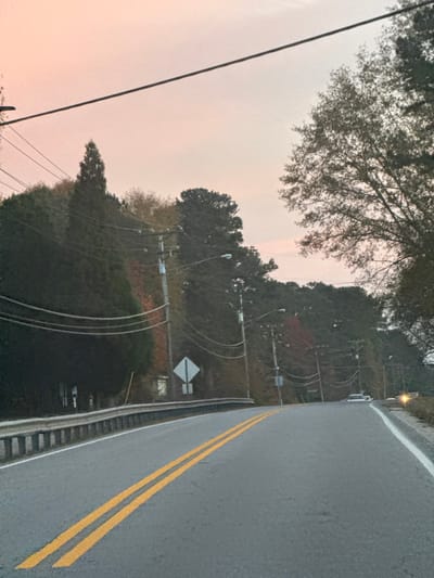 A gray asphalt road with double yellow lines runs along the right edge of the frame. A metal guardrail separates the road from a wooded area. Trees and telephone poles line the roadside, with wires stretching across the sky. The sky is a pale, hazy pink, possibly indicating smoke or smog. A white road sign with a black diamond is visible among the trees.
