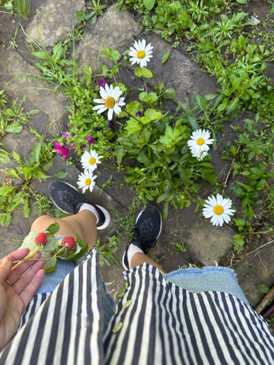 In the village of Zvonarevka, Russia, a person's legs are visible, clad in black and white striped fabric and denim shorts. The person is holding a small branch with two red raspberries and green leaves. They are wearing black sneakers with white socks. The surrounding environment is outdoors, with a stone pathway visible, interspersed with green grass and several white daisies in bloom. The scene appears to be a casual moment in a garden or park setting.
