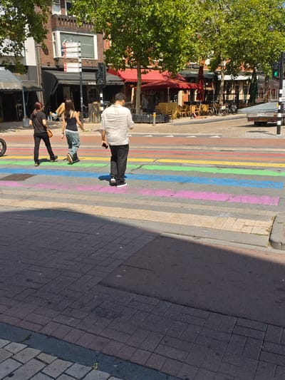 The image shows a street scene in the city of Tilburg, Netherlands, with a rainbow-colored crosswalk in the foreground. Three individuals are walking across the crosswalk. On the left, a person with dark hair wearing a black t-shirt and dark pants walks away from the camera, carrying a tan purse over their left shoulder. In the middle, a person with dark hair wearing a black tank top and light-colored, baggy pants also walks away from the camera. To the right, a person wearing a light-colored, striped short-sleeved shirt and dark pants walks away from the camera, holding a smartphone in their right hand.

In the background, there are several buildings, some with awnings and outdoor seating areas for cafes. Trees with green foliage line the street. Traffic lights are visible, with a green light illuminated on the right side of the image. A trailer is parked on the right side of the street. The ground is paved with cobblestones and asphalt. The overall scene suggests a sunny day in a commercial area of the city.