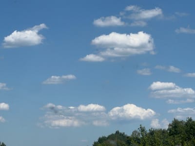 This media file captures a daytime scene of a blue sky filled with scattered white clouds. The clouds vary in size and density, with some appearing puffy and distinct, while others are thinner and more spread out. The lower portion of the image shows a dense line of green trees and foliage, suggesting a landscape setting.
The sunlight indicates it is daytime, likely mid-morning or afternoon, given the brightness of the sky and clouds. The weather appears to be clear and fair, with no indication of rain or storms. The presence of trees suggests an outdoor, natural environment. While no specific landmarks are visible to pinpoint the exact location within Ramstein-Miesenbach, the lush greenery is a common characteristic of the region.
There are no people or specific objects that stand out besides the natural elements of the sky and trees. The overall mood conveyed by the image is one of peacefulness and calm, typical of a pleasant day outdoors. There is no visible text within the image.