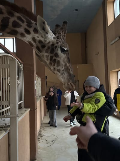 The image depicts an indoor exhibit area at the "12 Months Zoo" in Demydiv, Ukraine. A giraffe's head and upper neck, featuring a distinctive brown and cream mottled coat, are prominent in the upper left and center, extending downwards. Its snout is lowered towards a young child in the mid-ground on the right.

The child, wearing a grey beanie and a bright yellow-green puffy jacket, is being held by an adult whose arm and dark jacket are visible on the right. The child has both hands open and extended towards the giraffe's mouth, indicating an offering or feeding interaction. In the mid-ground on the left, a young female wearing headphones stands near a tan-colored wall and a white metal-barred barrier, observing the scene. Additional adults are visible in the background, further within the exhibit space.

The environment consists of tan-colored walls, a light-colored tiled floor with some scattered debris near the barrier, and a light blue ceiling painted with a cloud-like pattern. Fluorescent light fixtures are mounted on the walls and ceiling. Windows are visible in the upper right background, allowing natural light into the area. The scene captures a direct interaction between the giraffe and visitors, specifically a child, within what appears to be a designated feeding or close encounter zone.