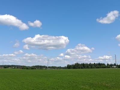 A wide shot depicts a lush green field under a vibrant blue sky dotted with white, fluffy cumulus clouds. A dense line of trees forms the horizon, with a scattering of buildings nestled amongst them. The image appears to be taken in the city of Lahojsk selsaviet, Belarus, capturing a serene rural landscape. The field is expansive, suggesting it could be used for agriculture or pasture. The trees appear to be a mix of deciduous and coniferous species, common to the Belarusian climate. The presence of scattered buildings indicates a rural community or a collection of houses on the outskirts of a town. The overall impression is one of natural beauty and tranquility.