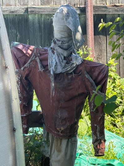 A scarecrow stands in an outdoor environment. The scarecrow is dressed in a torn, dark red, possibly leather jacket over light-colored pants. Its head is covered with a light-colored cloth that appears to be tied around the neck with a gray scarf. The scarecrow is positioned in front of a wooden fence, with green vegetation and some sort of plastic sheeting visible in the background. A clear plastic corrugated structure is on the left side of the image. The scene appears to be a garden or yard area in Karachino, Russia.