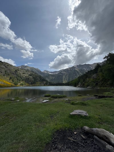 The image captures a mountain lake landscape in Porté-Puymorens, France, under a partially cloudy sky. The foreground features a grassy expanse with scattered rocks and a visible, inactive campfire pit containing charred wood, ash, and a pine cone. The calm lake surface reflects the sky and surrounding mountains, exhibiting subtle ripples. To the left, a mountain slope is covered with dense green vegetation, including numerous yellow flowering bushes, leading up to rocky terrain and snow-capped peaks under a brighter, bluer sky with scattered white clouds. To the right, darker, cloudier conditions prevail over densely forested mountain slopes that also ascend to snow-dusted summits. No human or animal subjects are visible, and no explicit actions are depicted.