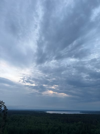 This image captures an elevated panoramic view of a natural landscape in Korobitsyno, Russia, under a heavily overcast sky. The upper two-thirds of the frame are dominated by a dense, layered expanse of dark gray and blue-gray stratocumulus clouds. A brighter, elongated patch of lighter sky and thinner clouds is visible near the horizon, slightly left of the image's vertical center, indicating a subtle light source. The lower third of the image features a vast, dark green coniferous forest, stretching across the midground and foreground. A wide body of calm water, likely a lake or river, is visible horizontally across the middle distance, separating the dense forest from a faint, distant landmass on the horizon. On the far left, the dark trunk and a few branches of a tall conifer are partially visible, suggesting the viewpoint is from an elevated position within a forested area. The lighting is dim and diffused, indicative of either dusk or a day with persistent, heavy cloud cover. No human subjects, discernible man-made structures, or active interactions are present in the scene.