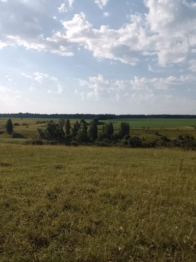 This is a landscape photograph taken from a slightly elevated position overlooking a vast, grassy field. The field is covered in tall, dry grass with some scattered yellow wildflowers. In the mid-ground, there is a gentle slope dotted with trees, and beyond that, a dark line of forest stretches across the horizon. Further in the distance, a bright green rectangular field is visible, contrasting with the natural landscape. The sky above is a pale blue, filled with a mix of white and gray clouds. The overall impression is of a rural, open space under a partly cloudy sky. The image was captured in Zasechnoe, Russia.