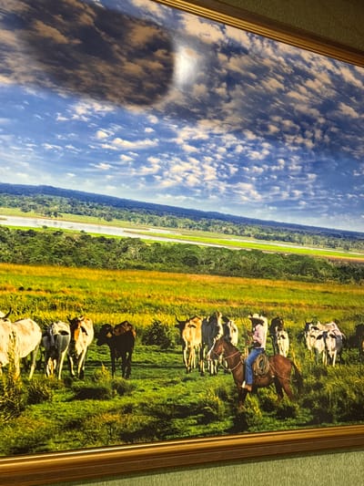 The image depicts a framed landscape painting. The scene shows a vast green field with a herd of cattle. A cowboy on horseback is visible in the foreground, guiding the cattle. In the background, a river winds through a densely forested area, with a range of hills or mountains in the distance. The sky is blue with scattered clouds. This image is located in the city of Torrejón de Ardoz, Spain.