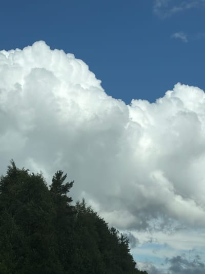 A low-angle, vertical shot captures a dense, dark green forest line cutting across the bottom third of the frame, with the upper two-thirds dominated by a dramatic, partly cloudy blue sky. The forest appears to be a mix of coniferous and deciduous trees. Large, billowy white cumulus clouds fill a significant portion of the sky, casting shadows and creating a sense of depth. In the upper left and center, the clouds are bright and well-defined, while towards the right and lower edges of the sky, the clouds become more diffused and grey, suggesting changing weather conditions. The vibrant blue of the sky peeks through in the upper left corner and in smaller patches lower down, offering glimpses of clear weather amidst the cloud formations. The scene is devoid of any human presence or man-made objects. The setting, given the mention of Kiisa, Estonia, suggests a natural, perhaps slightly remote, area.