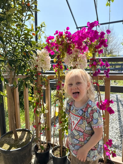 A young, blonde-haired child wearing a Guess t-shirt is sticking their tongue out while standing amongst potted plants, including bougainvillea with purple and white flowers, and a citrus tree with small, orange fruits. The scene is well-lit, likely outdoors or in a greenhouse-like environment, given the exposed sky and plant nursery elements. The location appears to be Köyceğiz, Turkey.