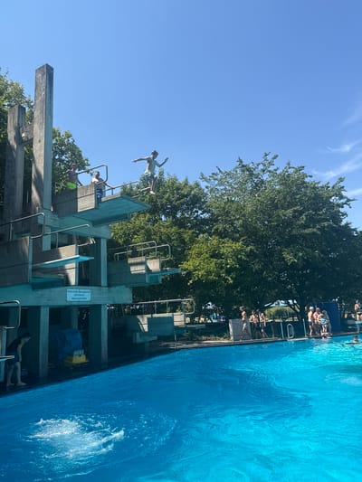 The image depicts a scene at the outdoor swimming pool in Rheinbach, Germany, on a clear, sunny day. In the foreground, a bright blue swimming pool occupies the majority of the frame, with ripples and white splash marks indicating recent activity. Dominating the mid-ground is a multi-tiered concrete diving platform, with several levels of diving boards. One young male, wearing light-colored shorts, is captured mid-air, leaping from the highest diving board. Below him, on the same platform, two other young males are visible, one in yellow shorts and another in blue shorts, standing near the edge.

To the left of the diving platform, a large, concrete structure rises, with trees forming a backdrop. Further to the right, a large, leafy green tree extends over the scene. Along the edge of the pool, to the right of the diving platform, a group of people are gathered. They appear to be spectators, some in swimwear, observing the activity. The environment is characteristic of a public outdoor swimming facility, with a clear blue sky overhead and lush greenery.
